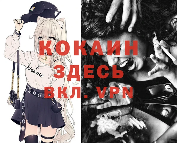 первитин Новозыбков