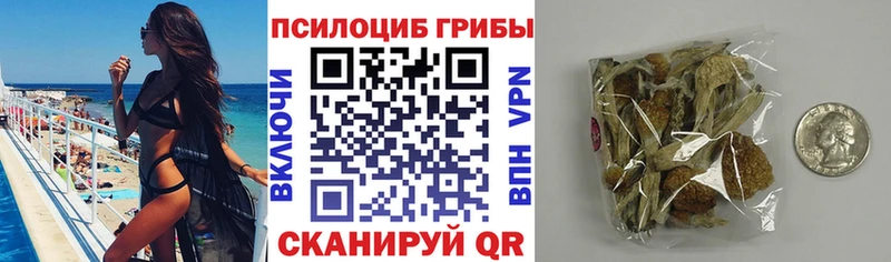 Галлюциногенные грибы Cubensis  Тихорецк 